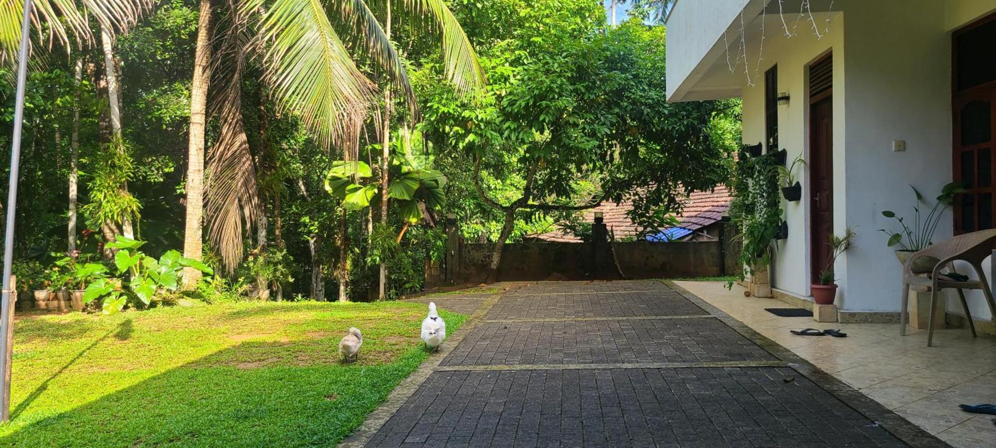 'Kolamba Gedara' Green Apartment Ruwanwella ภายนอก รูปภาพ